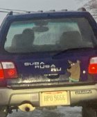 IMG_6536.jpeg