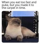 1711243614049.jpeg