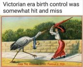 1711243642576.jpeg