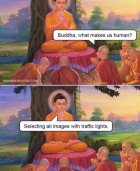 1711292052407.jpeg