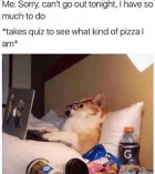 IMG_6629.jpeg