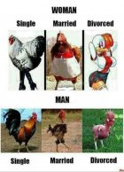 IMG_1367.jpeg
