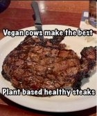 IMG_6674.jpeg