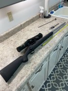 IMG_5147.jpeg IMG_5147.jpeg