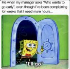 IMG_6684.jpeg