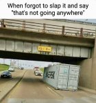 IMG_6705.jpeg