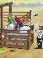 IMG_1377.jpeg