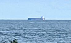 IMG_20191029_152353.jpg