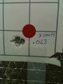 3 Shot Fire Form.jpg