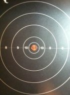 F Class Target with Penny.JPG