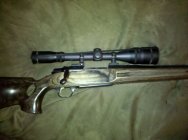 browning 2.jpg