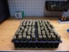 Drying Trays 1200.jpg