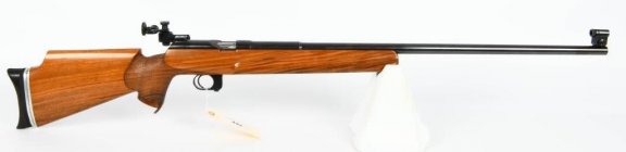 Ten-X Rifle.jpg