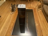IMG_3465.jpeg