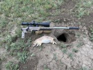17 HMR & PD.jpg