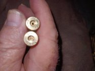 20240330_122603.jpg
