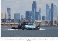 Screenshot 2024-03-31 at 09-04-38 J. ARNOLD WITTE Donjon Marine Port Newark N.J. – Professiona...png