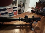 IMG_7916.jpeg