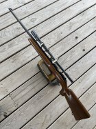 IMG_6445.jpeg
