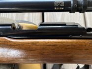 IMG_6418.jpeg