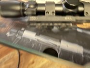 IMG_7927.jpeg