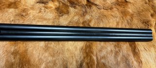 IMG_6902.jpeg