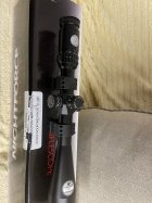 IMG_1385.jpeg