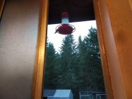IMG_20240401_194157.jpg