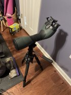 IMG_7946.jpeg