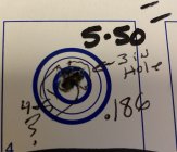 IMG_1115.jpeg