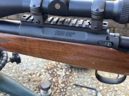 IMG_6198.jpeg