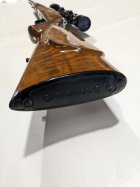 PXL_20240328_235548577.jpg