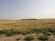 DSC02134.JPG