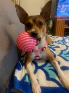 11066.jpeg 11066.jpeg