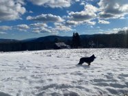 1712543054546.jpeg