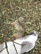 IMG_1237.jpeg