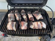 IMG_5552.jpeg