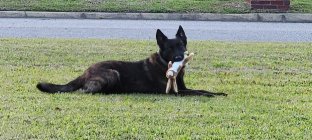 20230424_192529.jpg 20230424_192529.jpg