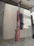 IMG_6357.jpeg