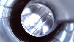 IMG_2530.jpeg