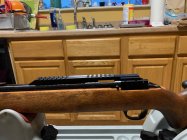 IMG_1685.jpg