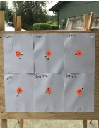 IMG_0341.jpeg