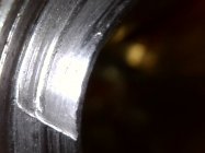 IMG_6650.jpeg