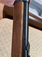 marlin 12.jpg