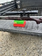 IMG_5384.jpeg