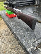 IMG_5382.jpeg