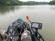 IMG_1294.jpeg