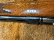 IMG_6975.jpeg