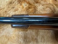 IMG_6976.jpeg
