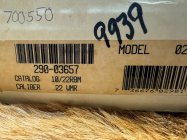 IMG_6985.jpeg